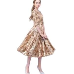 NWT Vicky & Lucas Sequined Retro Dress Fit Flare Champagne M